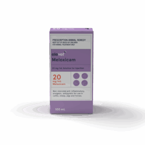 elevet+ Meloxicam 20 mg/mL Solution for Injection