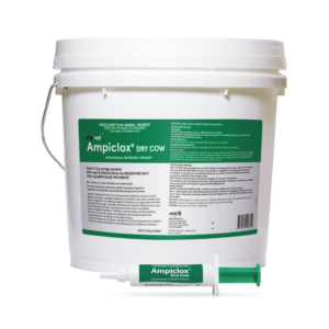elevet+® Ampiclox Dry Cow