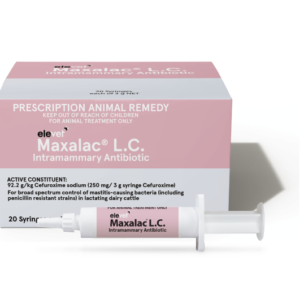 elevet+® Maxalac LC Intramammary Antibiotic
