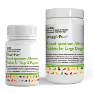 Wagg & Purr® Broadspectrum Allwormer Tablets for Dogs and Puppies/ Large Dogs