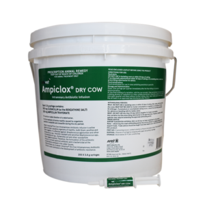 elevet+® Ampiclox Dry Cow