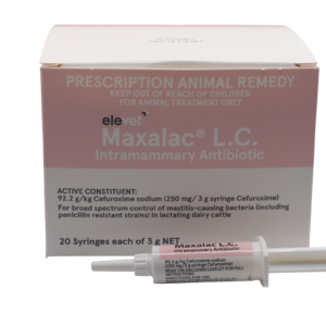 elevet+® Maxalac LC Intramammary Antibiotic