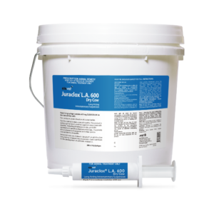 elevet+® Juraclox L.A. 600 Dry Cow