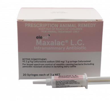 Maxalac LC Carton Syringe